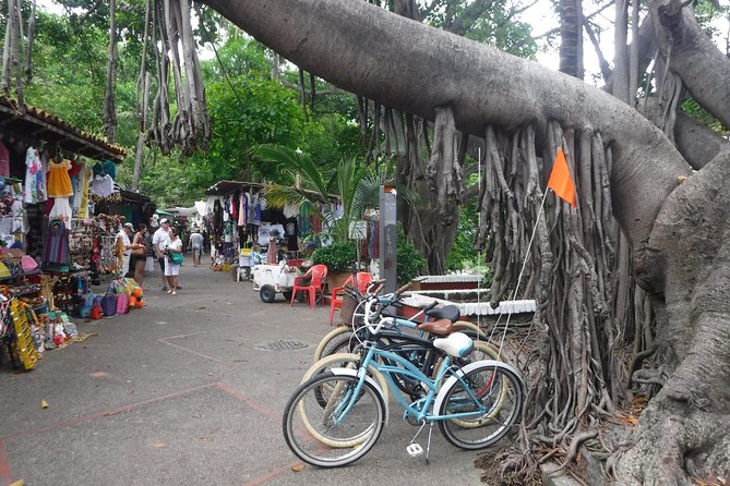 Private Tour in El Malecon Boardwalk Bike Ride - What the private format adds to the $56.76 price
