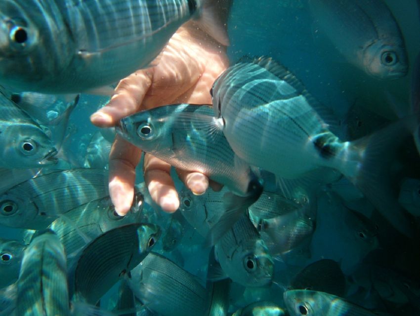 Pula: Bike Tour of Ancient Pula & Aquatic Adventures - Who will enjoy this tour most?