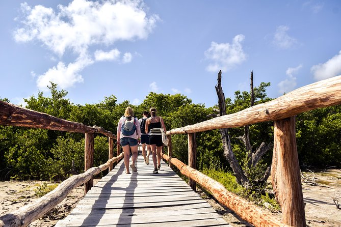Punta Sur Eco Beach Park Electric Bike Tour in Cozumel - Celarain Lighthouse and the southern reserve