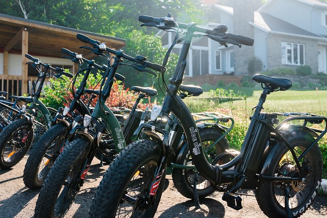 Quebec City: Electric Bike Rental on Ile d'Orléans - Price and overall value at $66