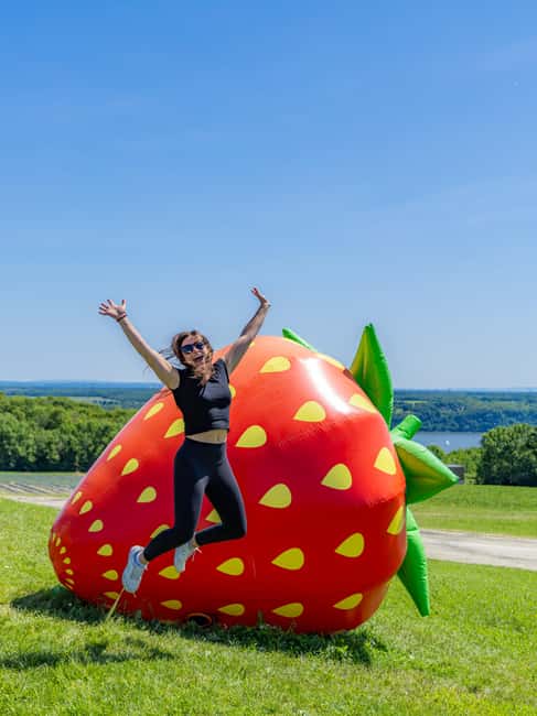 Quebec City: Ile d'Orléans Guided E-Bike Tour with Tastings - What makes this island ride worth your morning