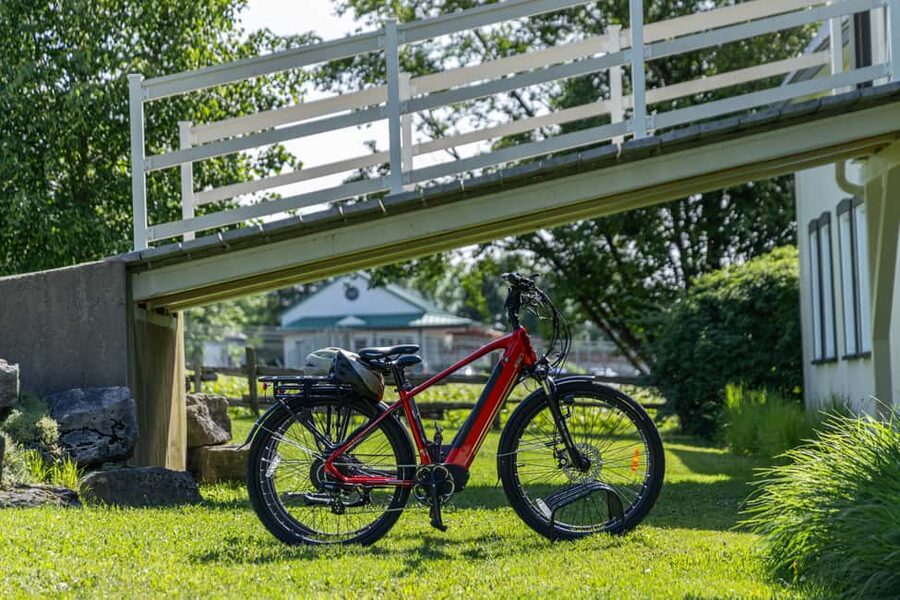 Quebec City: Ile d'Orléans Guided E-Bike Tour with Tastings - Who should book this Île d’Orléans tour?