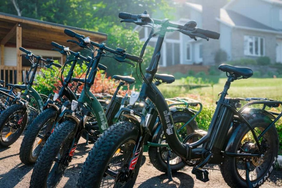 Quebec City: Ile d'Orléans Guided E-Bike Tour with Tastings - The vineyard, wine, cheese, and a final refreshment