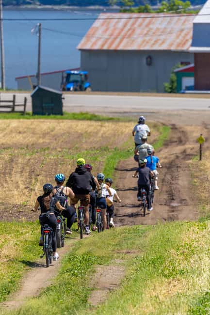 Quebec City: Ile d'Orléans Guided E-Bike Tour with Tastings - Is $116 a fair price?