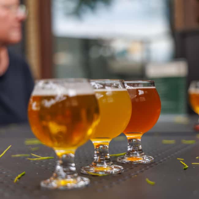Quebec City: Montmorency Falls and Microbrewery eBike Tour - Why this route works so well
