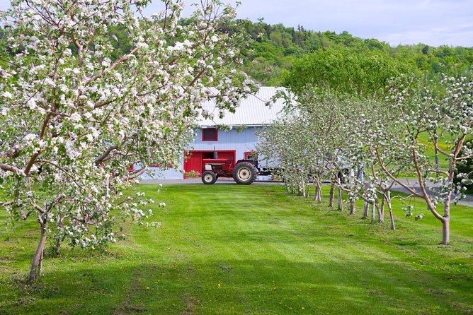 Quebec City - Regular Bike Rental on Ile d'Orléans - Villages, farms, and the quieter side of Quebec
