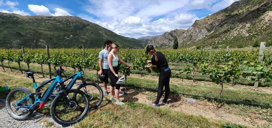 Queenstown: Guided E-Bike Tour with Winery Visits & Tastings - The details that make this tour different