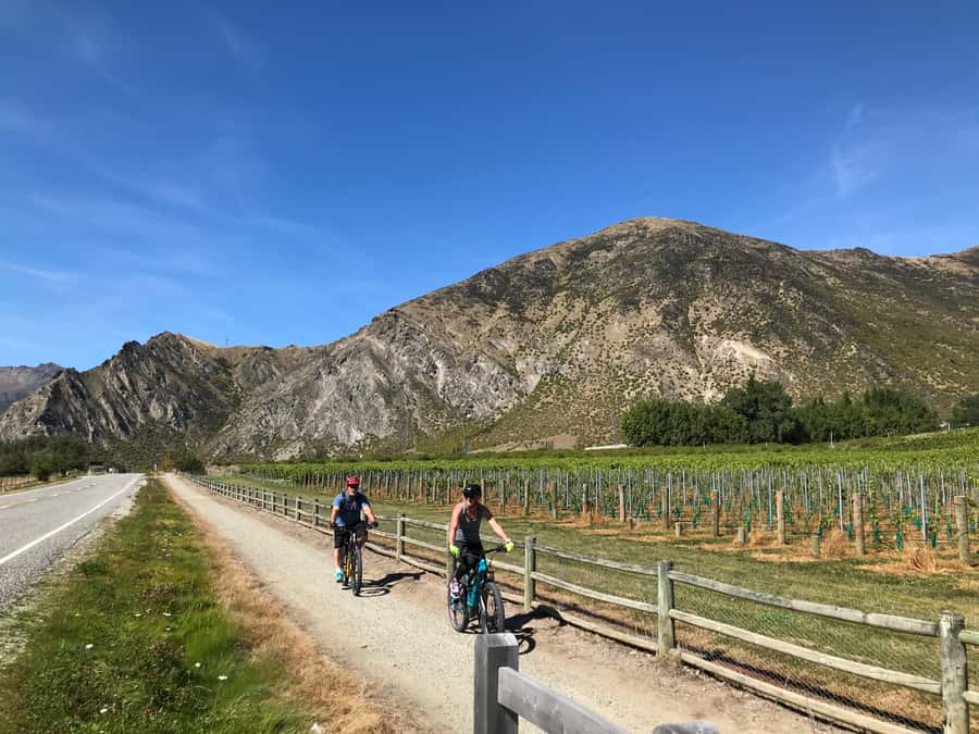 Queenstown: Guided E-Bike Tour with Winery Visits & Tastings - Gibbston Valley, vineyards, and the final hour on the bike