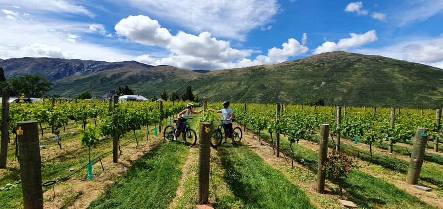 Queenstown: Guided E-Bike Tour with Winery Visits & Tastings - From Queenstown to Arrowtown, 15 minutes to a different world