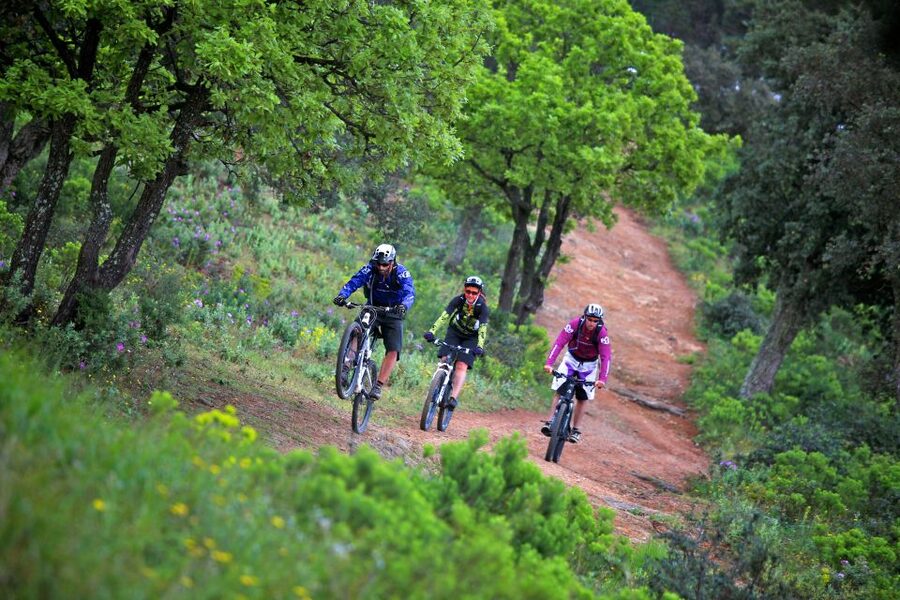 Ramatuelle: Tracks & Tasting Winery Tour by Mountain E-Bike - Key points to know before booking
