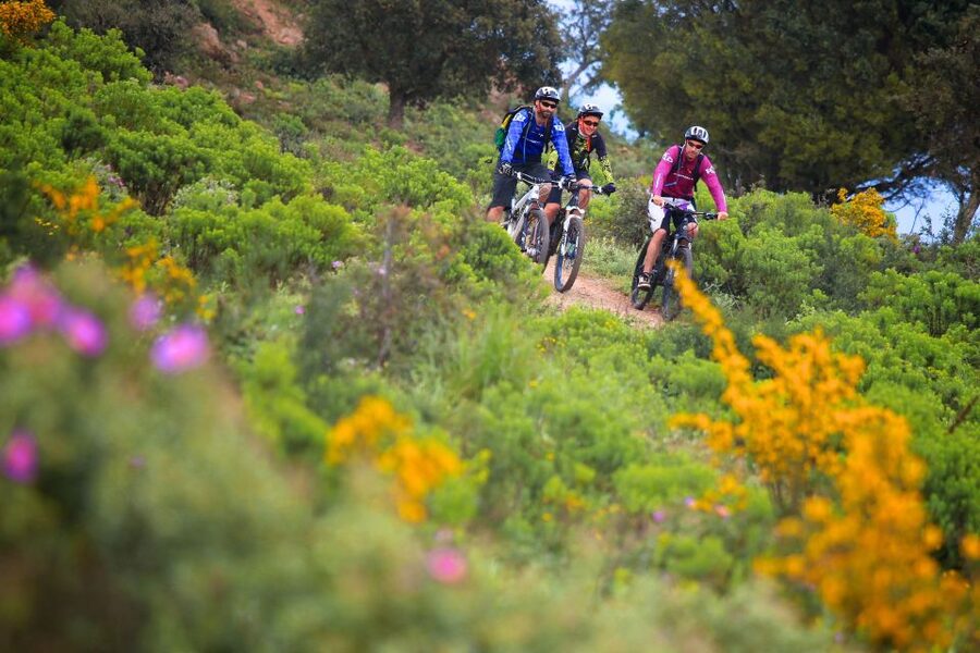 Ramatuelle: Tracks & Tasting Winery Tour by Mountain E-Bike - Winery stops on private estates