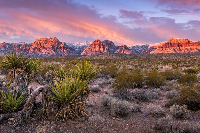 Red Rock Canyon eBike Half-Day Tour - Key Things to Know Before You Book