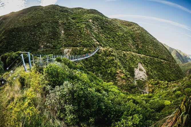 Remutaka Rail Trail Mountain Bike Explorer Cycle Tour - Key things to know before you book