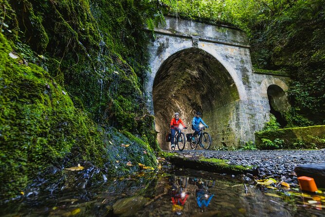 Remutaka Rail Trail Mountain Bike Explorer Cycle Tour - Starting through Pakuratahi Forest