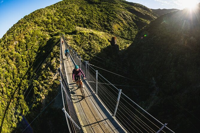Remutaka Rail Trail Mountain Bike Explorer Cycle Tour - Lunch at the summit