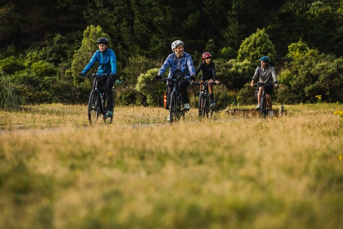 Remutaka Rail Trail Mountain Bike Explorer Cycle Tour - The descent toward Cross Creek