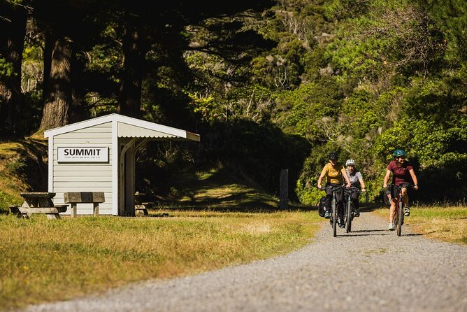 Remutaka Rail Trail Mountain Bike Explorer Cycle Tour - How difficult is the Remutaka Rail Trail?