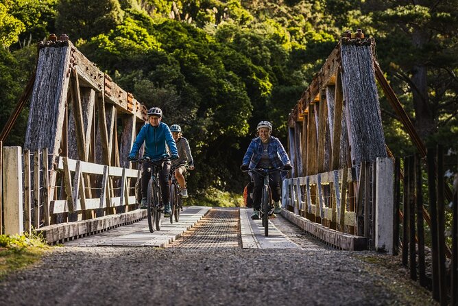 Remutaka Rail Trail Mountain Bike Explorer Cycle Tour - The gradual climb toward the summit