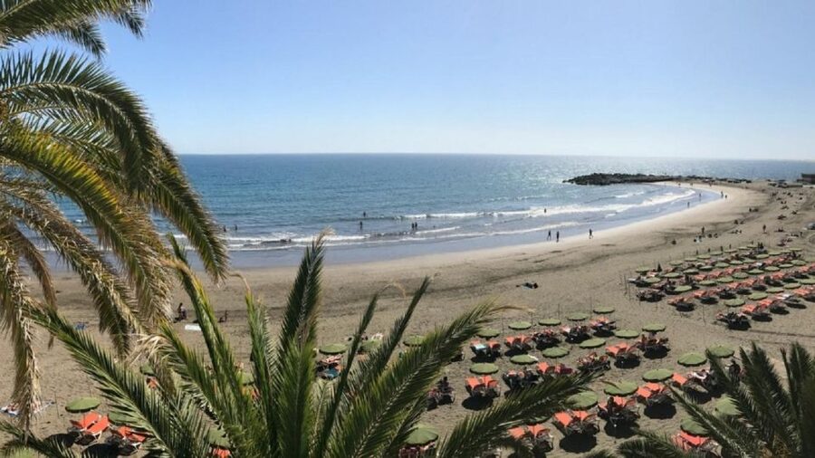 Rent a City Bike 18 gears from 4 hours to 7 days: Maspalomas - Punta de las Mujeres and Gran Canaria lizards
