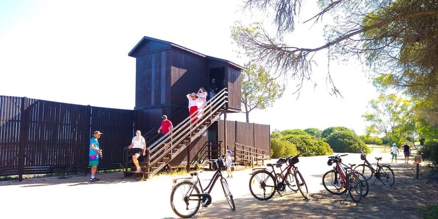 Ria Formosa: Guided Bike Tour (3h), Início na Quinta do Lago - Flamingos, storks, and the pleasure of slowing down