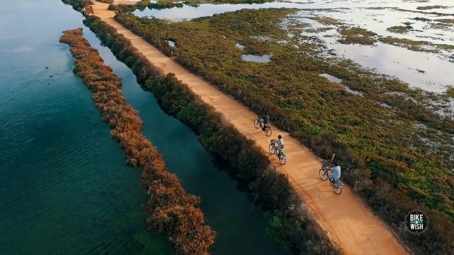 Ria Formosa: Guided Bike Tour (3h), Início na Quinta do Lago - Faro Airport and the human side of the park