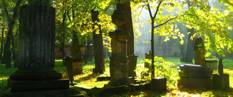 Riga Explorer Bike Tour - Why this Riga bike tour is different