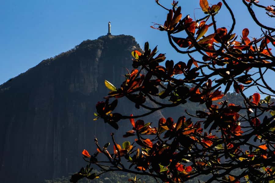 Rio de Janeiro: Guided Bike Tours in Small Groups - The three-hour Urban Tour: Sugarloaf, Botafogo, and Lagoa