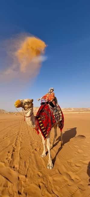 Riyadh: Desert Sand Dunes (VIT-Qude bike + Camel Ride) - Leaving Riyadh in an air-conditioned SUV