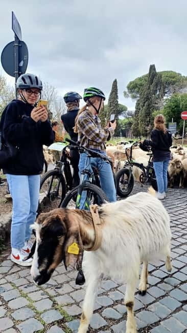 Rome: Appian Way, Aqueducts, & Catacombs E-Bike Guided Tour - Practical drawbacks and comfort tips