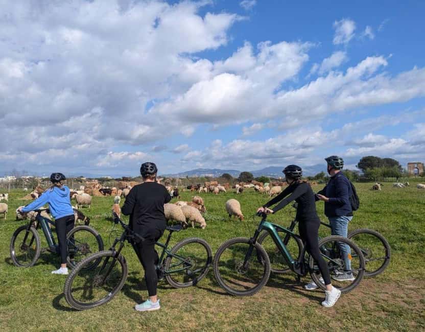 Rome: Appian Way E-Bike tour & Ancient Underground Labyrinth - What the guides add to the ride