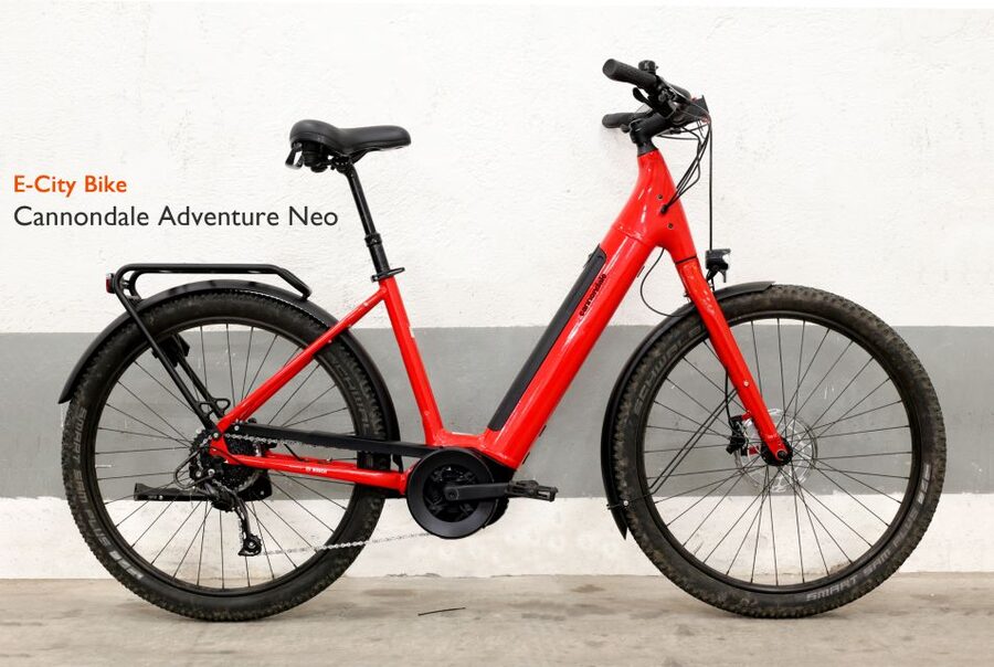 Rome: E-Bike Rental with Helmet and U-Lock - Key Points to Know Before You Book