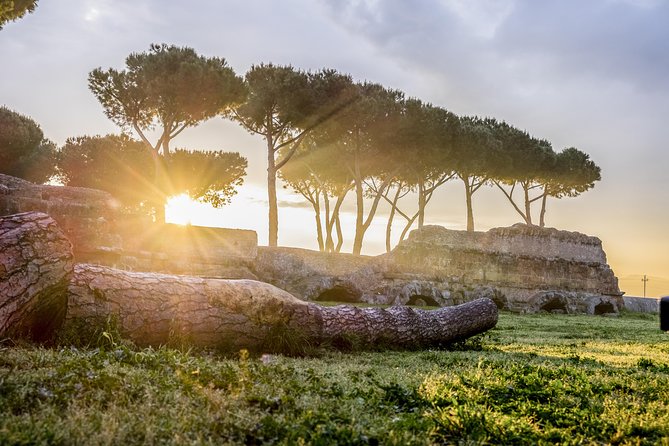 Rome E-Bike Small Group Tour of the Appian Way with Private Option - How the e-bikes affect the ride