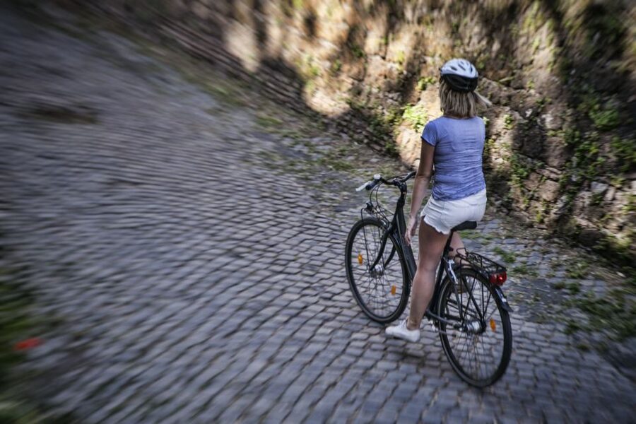Rome: E-Bike Tour of Appia Antica, Aqueducts, and Caffarella - Aqueducts Park and the engineering of Rome