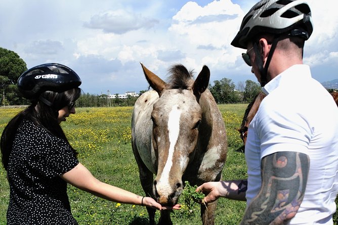 Rome EBike Tour: Appian Way, Catacombs & Roman Aqueducts - Aqueduct Park is the visual highlight