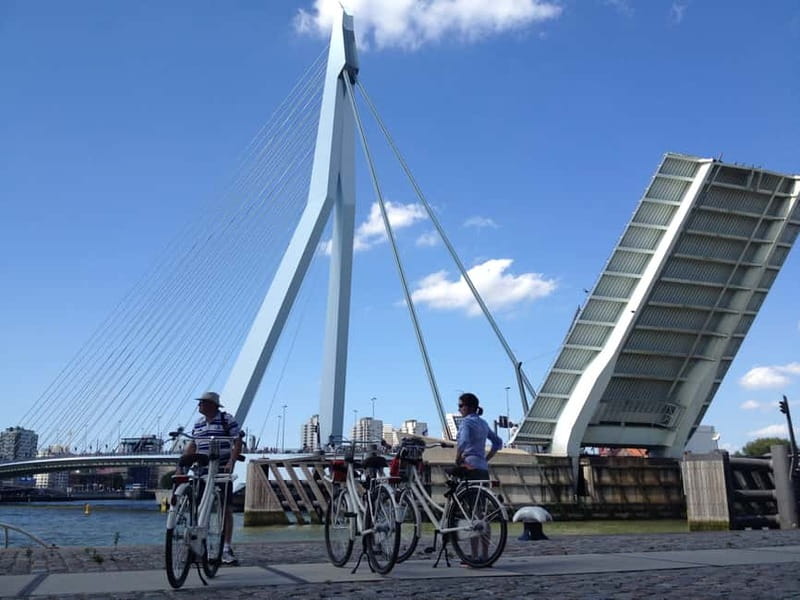 Rotterdam: City Highlights Guided Bike Tour - Riding safely in Rotterdam’s traffic