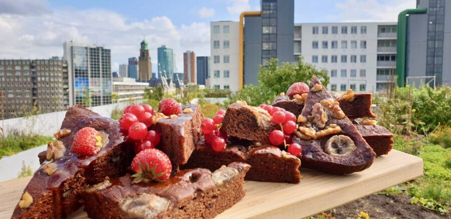 Rotterdam: Food Tour by Bike - Key points to know before you ride
