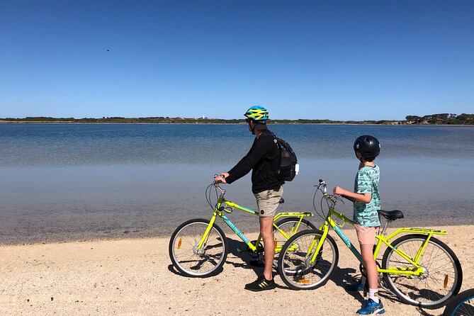 Rottnest Island Fast Ferry from Hillarys Boat Harbour Including Bike Hire - Wadjemup Lighthouse and West End