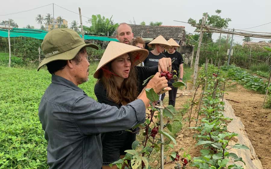 Rural Cycle, Market Tour, Basket Boat & Organic Farm Cooking - Key points worth knowing