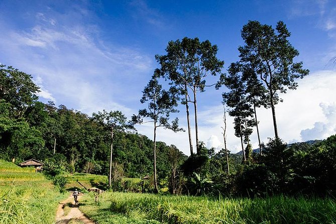 Rural Explorer Mountain Biking Tour Chiang Mai - Why this ride offers more than a bike rental