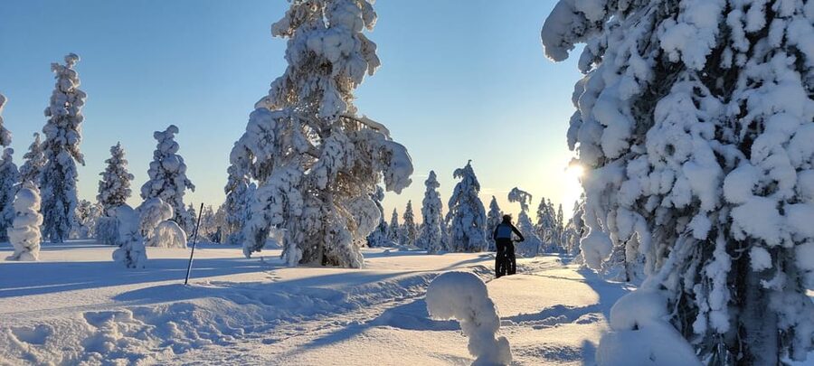 Saariselkä: Guided Fatbike Tour - Starting from Saariselkä with the right bike