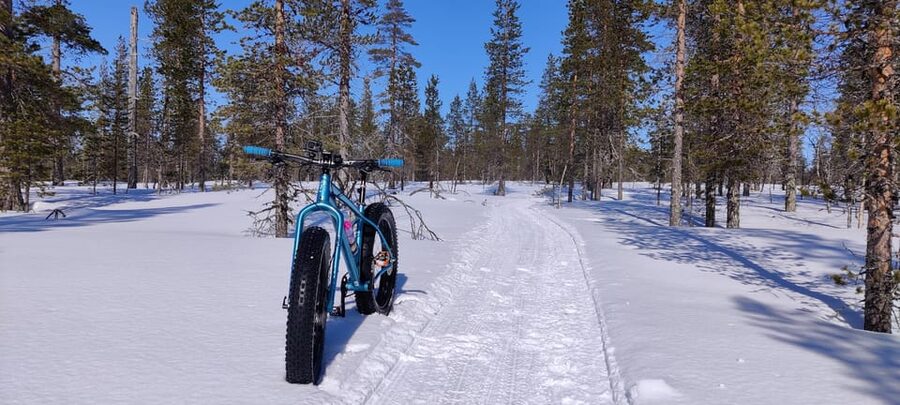 Saariselkä: Guided Fatbike Tour - Evening riding and winter light