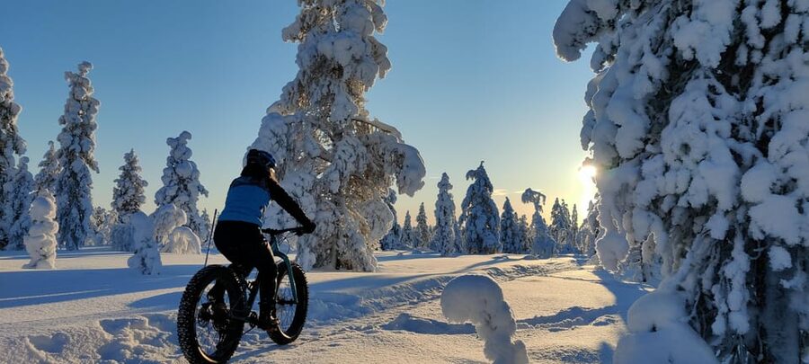 Saariselkä: Guided Fatbike Tour - Choosing between forest trails and fell routes
