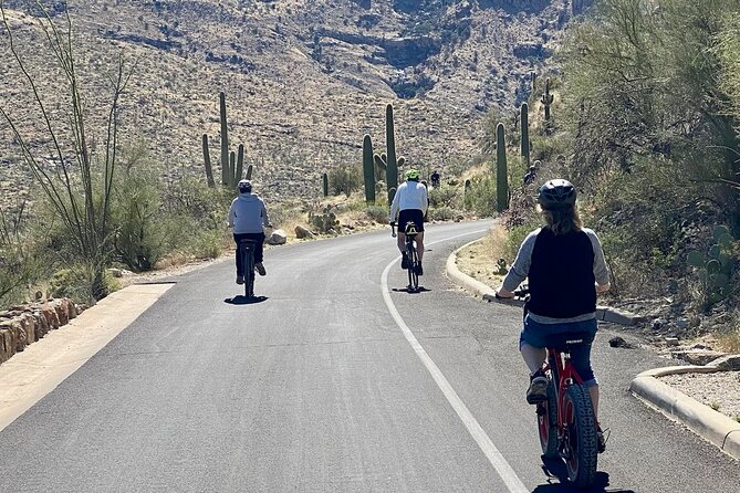 Saguaro National Park East E-Bike Tour - The Visitor Center and the desert lessons