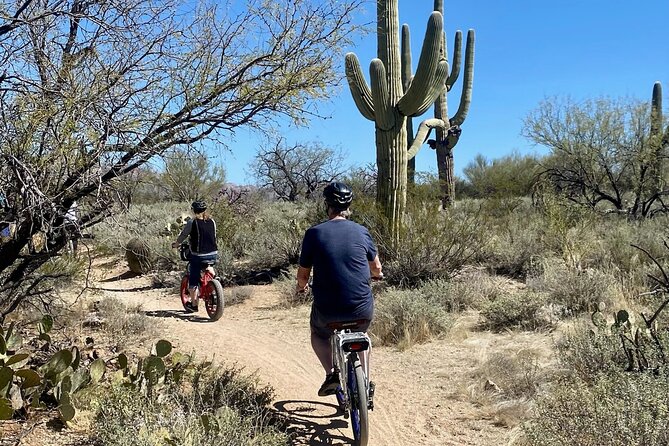 Saguaro National Park East E-Bike Tour - Heat, water, and what to wear
