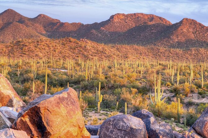 Saguaro National Park East E-Bike Tour - How much value do you get for $159?