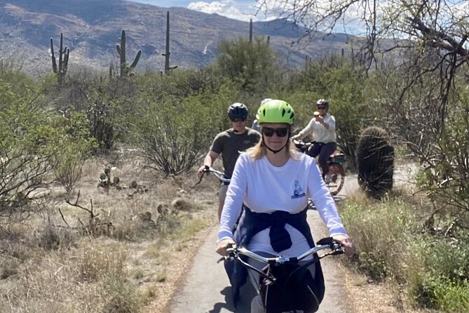 Saguaro National Park East E-Bike Tour - Safety, traffic, and the serious caution
