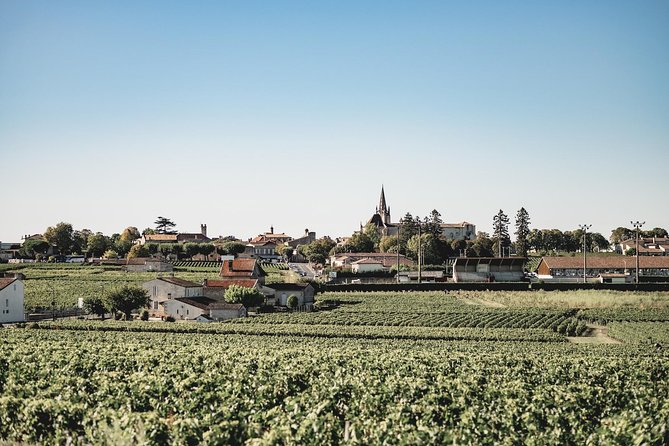 Saint-Emilion Electric Bike Day Tour with Wine Tastings & Lunch - Guides make or break the atmosphere