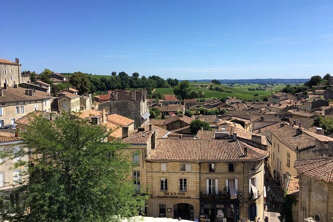 Saint Emilion Full Day Wine and Bike Tour - The family-owned estate and second tasting