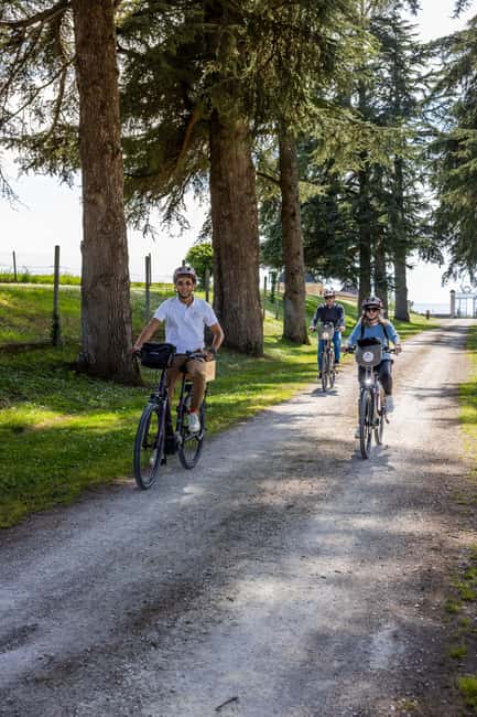 Saint Emilion Wine and Bike Tour - Who should book this Saint-Émilion tour?