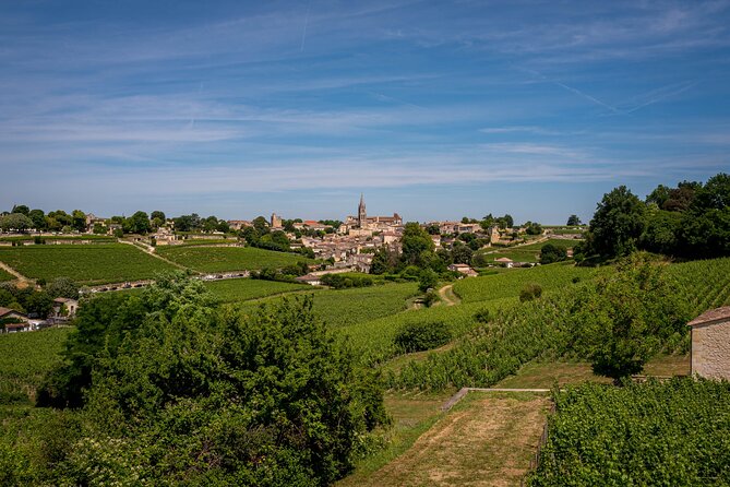 Saint Emilion Wine Tour by E-Bike- Bordeaux Pick up and drop off - Leaving Bordeaux for Saint-Émilion